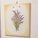 Bauernhof Poggio Luna Gerfalco