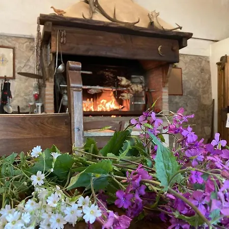 Feriegård Poggio Luna *